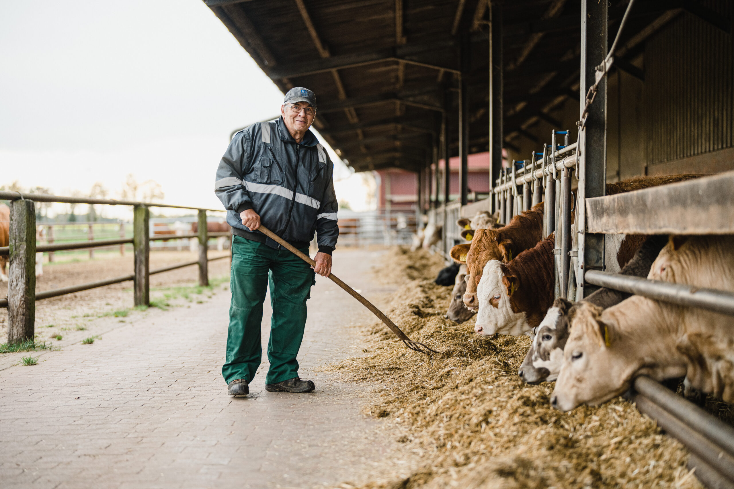 Friedrich Sander — HofWerte