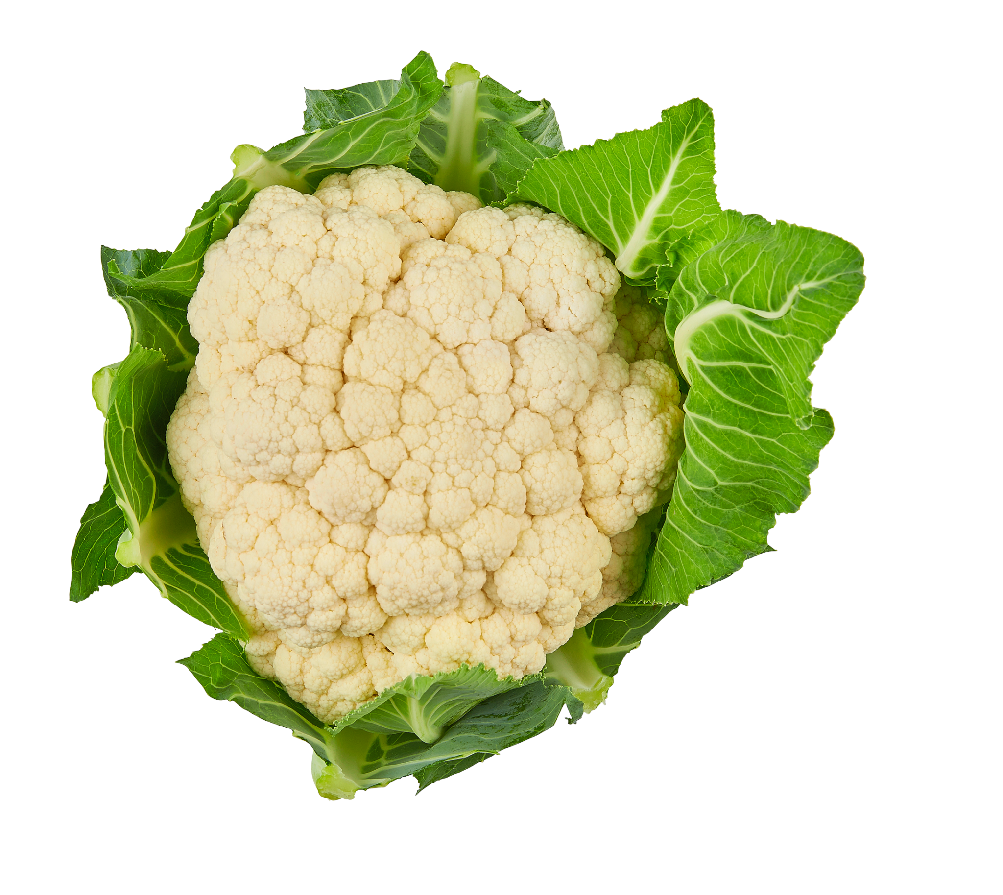 Mählmann Gemüsebau — HofWerte