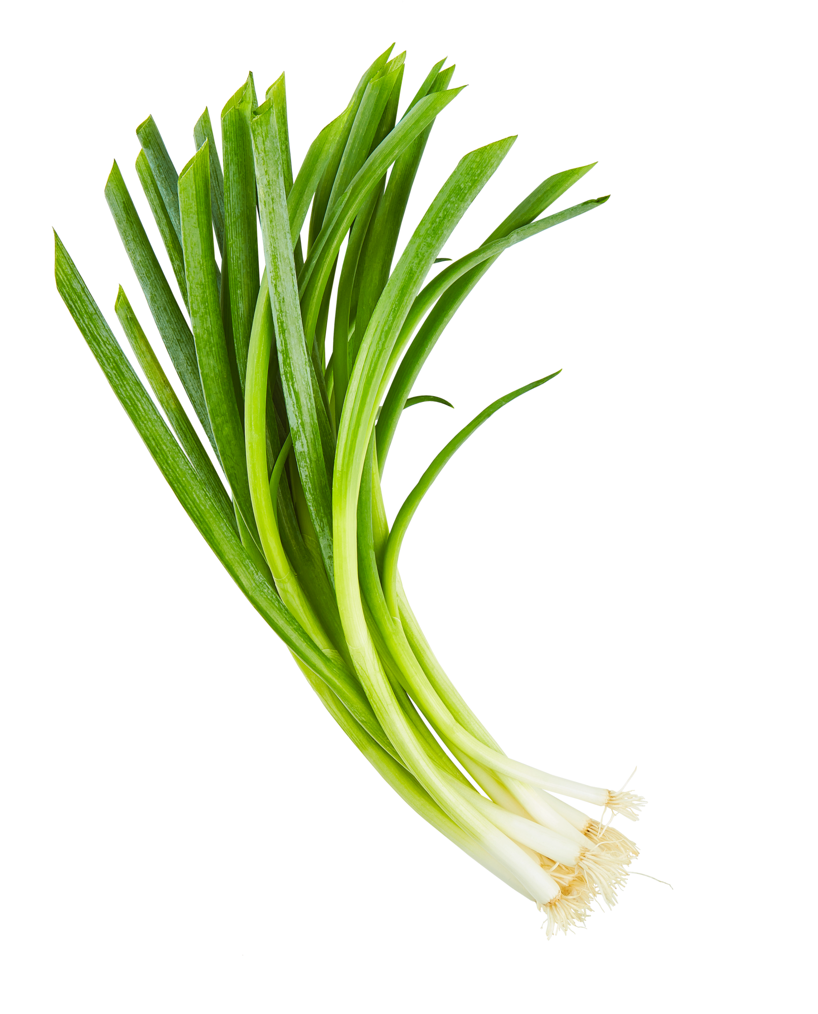 Mählmann Gemüsebau — HofWerte Mählmann Gemüsebau — HofWerte